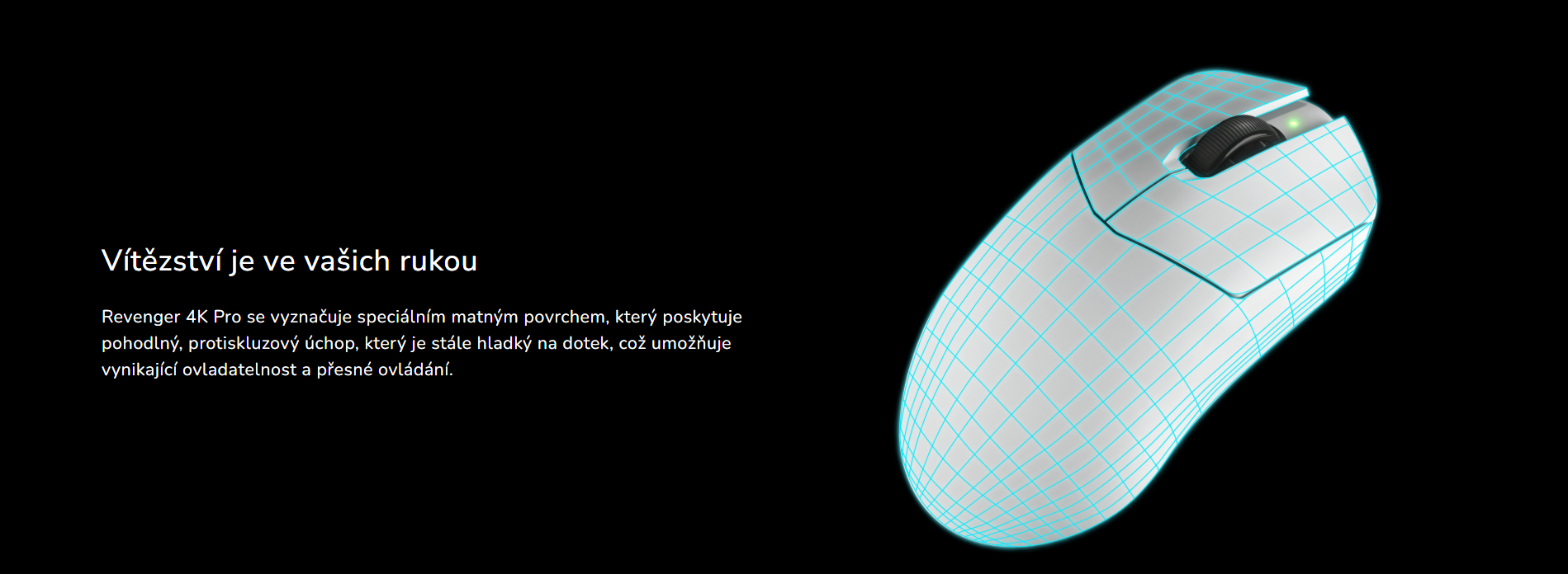 Snímek obrazovky 2026-03-24 114948